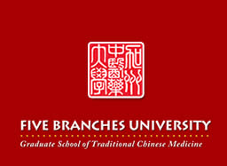 Five Branches University